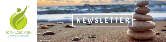 Cabe&ccedil;alho da Newsleter Sofia Lobo Cera