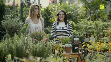 Episodio 9 - Plantas e Feng Shui