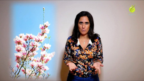 Artigo 1 da Newsletter de Sofia Lobo Cera 2019 03 CasaOrganizadaVidaEquilibrada S1E05
