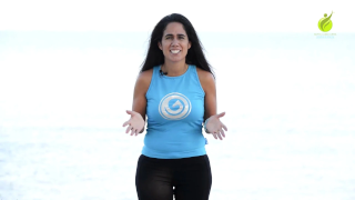 Artigo 1 da Newsletter de Sofia Lobo Cera nl201902 videofevereiro2